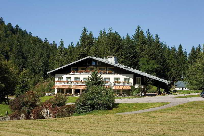 Hotel Les Buttes Ventron Dış mekan fotoğraf