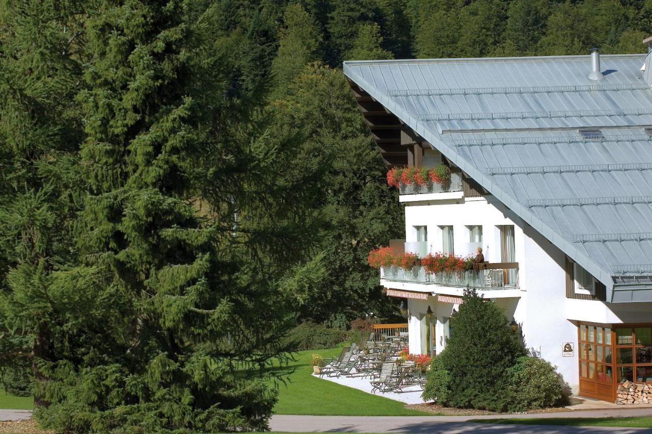 Hotel Les Buttes Ventron Dış mekan fotoğraf